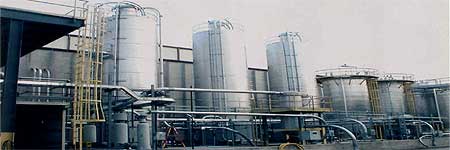 Stainless Steel Storage Silos